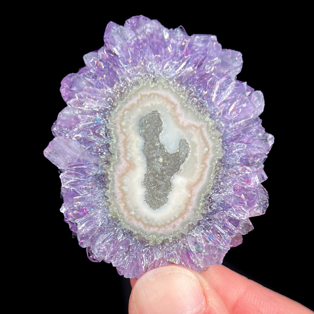 Amethyst Flower Slice from Brazil