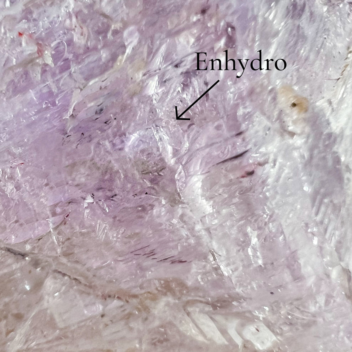 Close Up of Enhydro