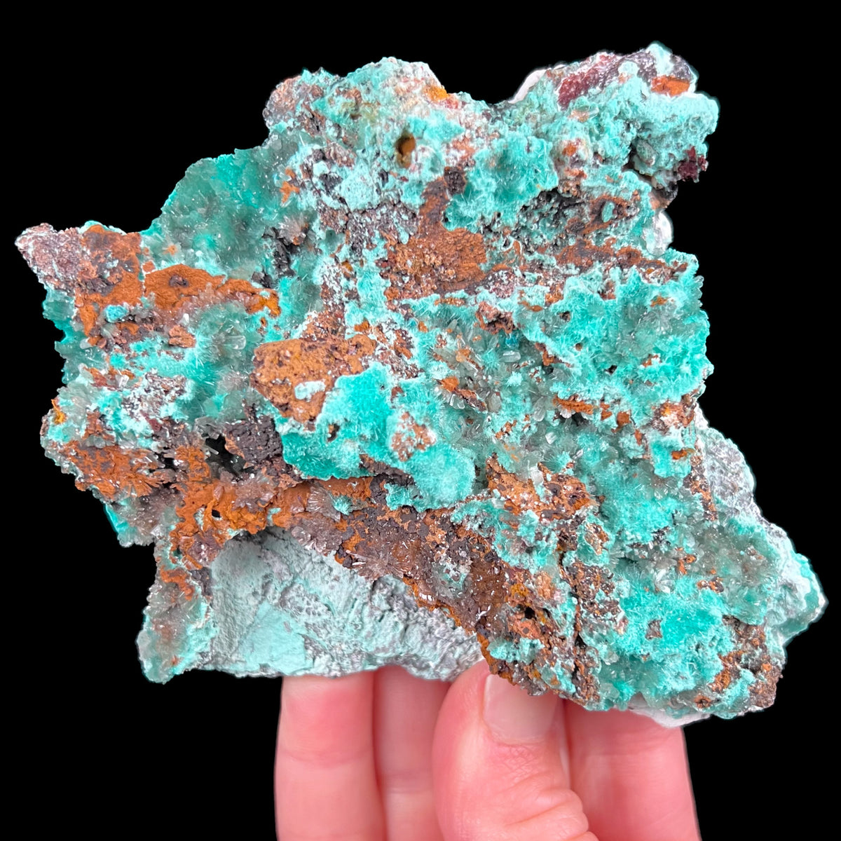 Aurichalcite with Hemimorphite Mineral Specimen from Mexico