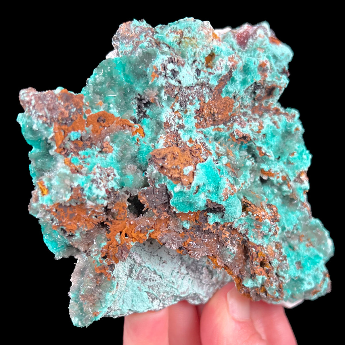 Aurichalcite with Hemimorphite Crystal Specimen from Mexico