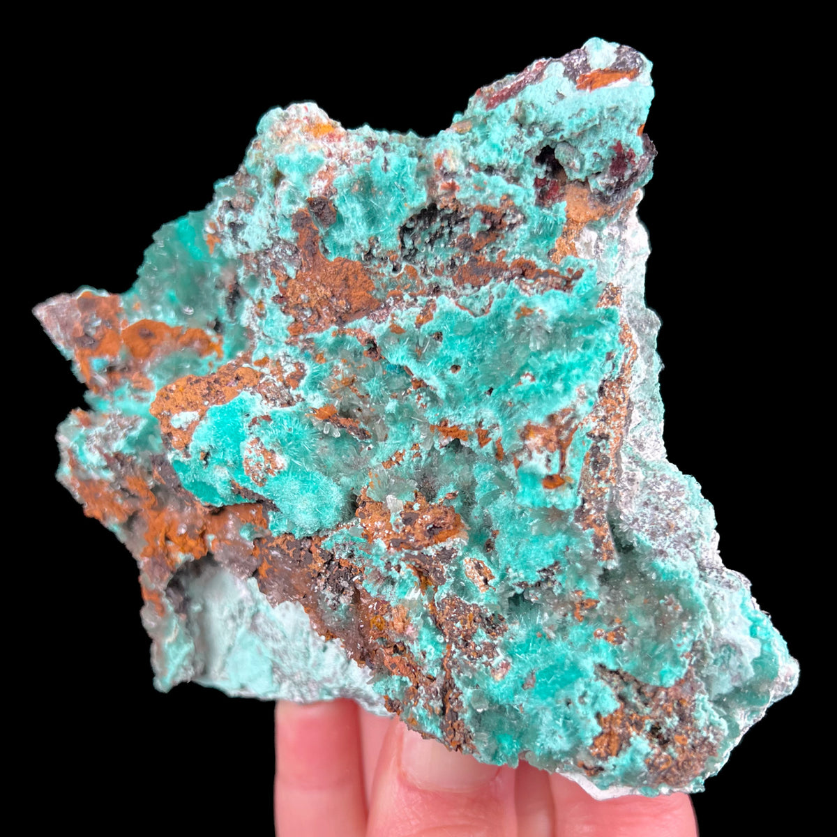 Aurichalcite with Hemimorphite Mineral Specimen