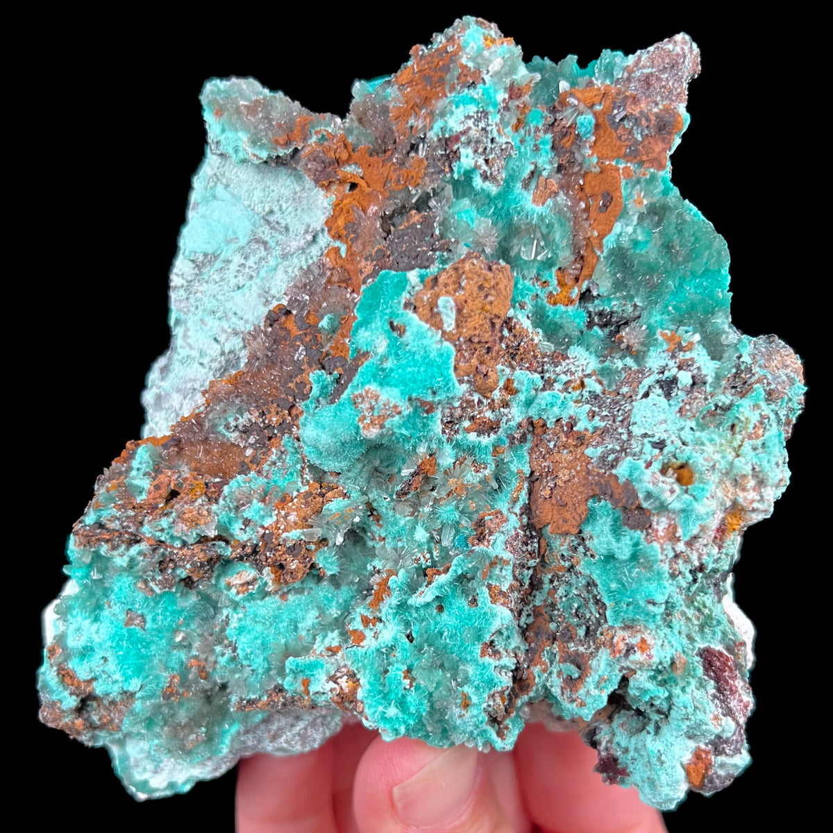 Aurichalcite with Hemimorphite Specimen