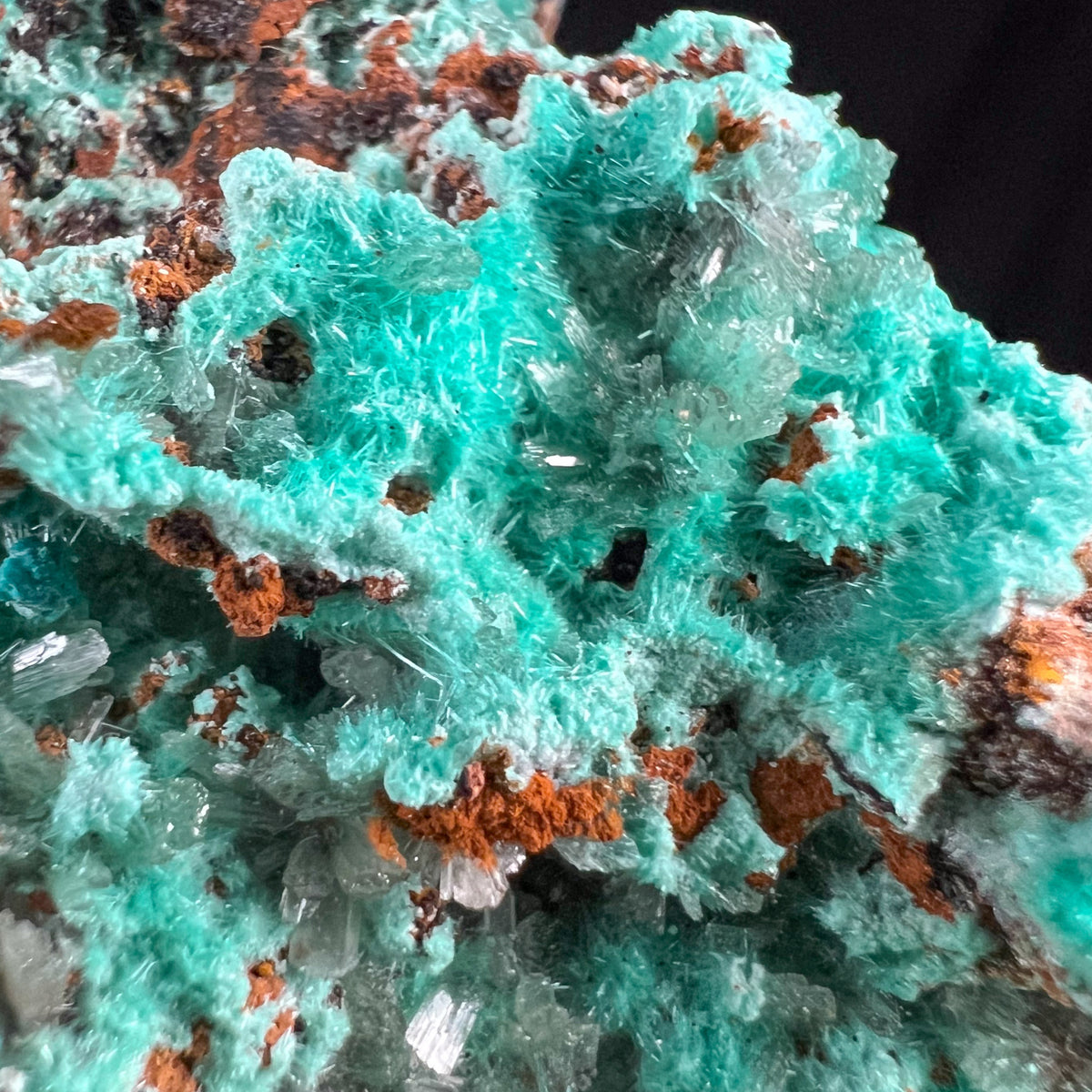 Close Up of Teal Colored Aurichalcite Crystals with Clear Hemimorphite