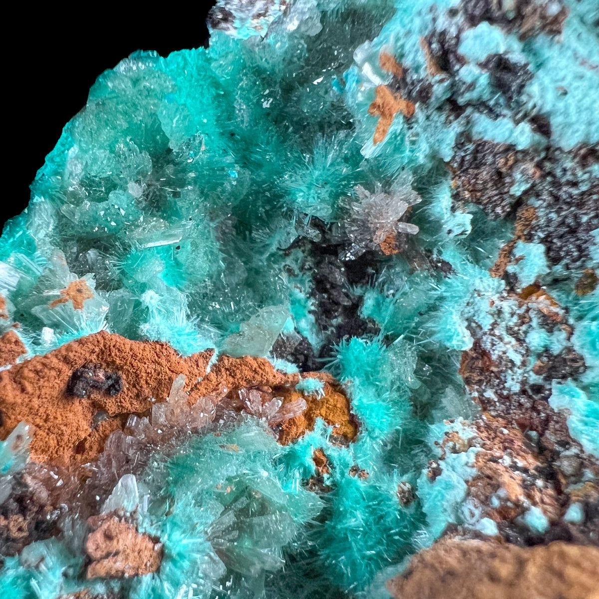 Close Up of Aurichalcite and Hemimorphite Crystals