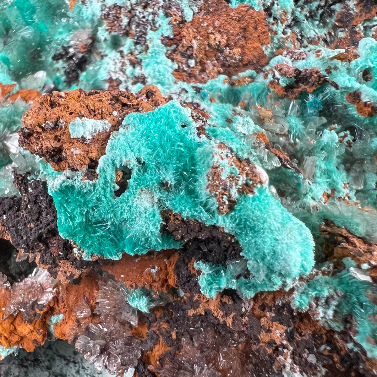 Close Up of Blue and Green Aurichalcite Crystals 