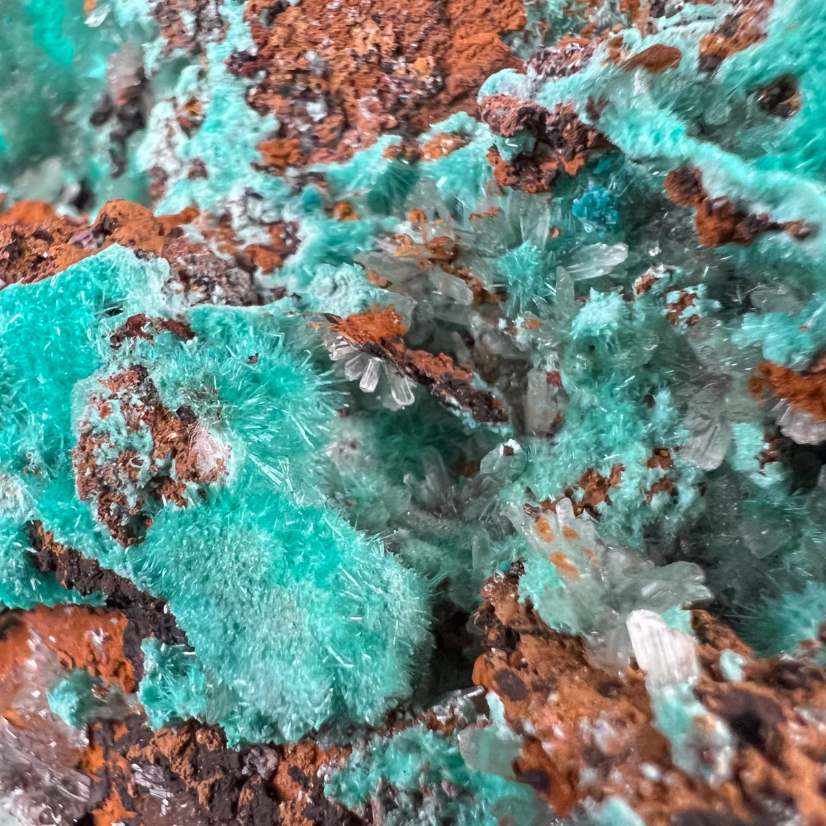 Close Up of Aurichalcite with Hemimorphite Crystals