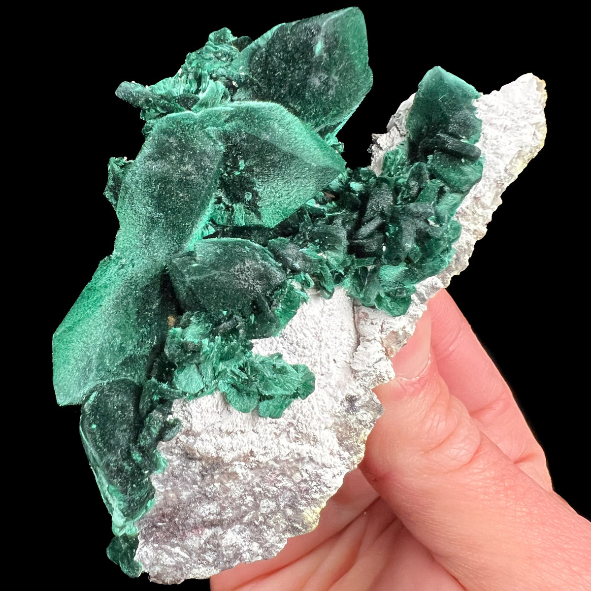 Malachite after Azurite Pseudomorph from Milpillas Mine, Mexico