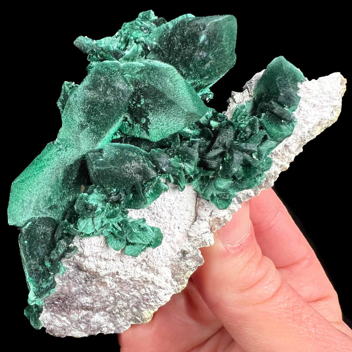 Malachite after Azurite Pseudomorph from Milpillas Mine, Mexico