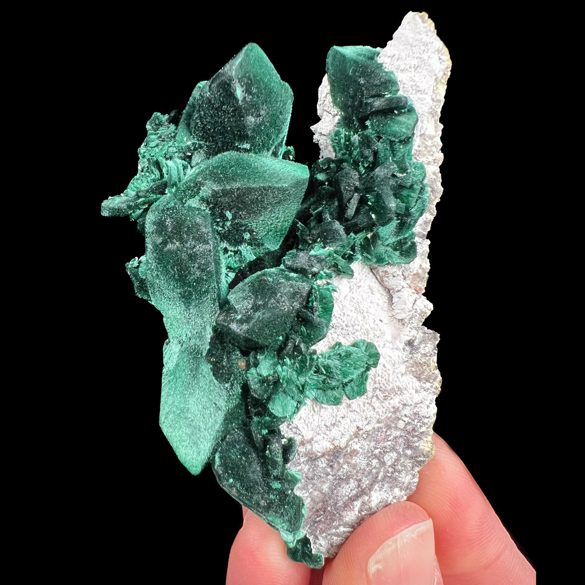 Malachite after Azurite Pseudomorph from Milpillas Mine, Mexico