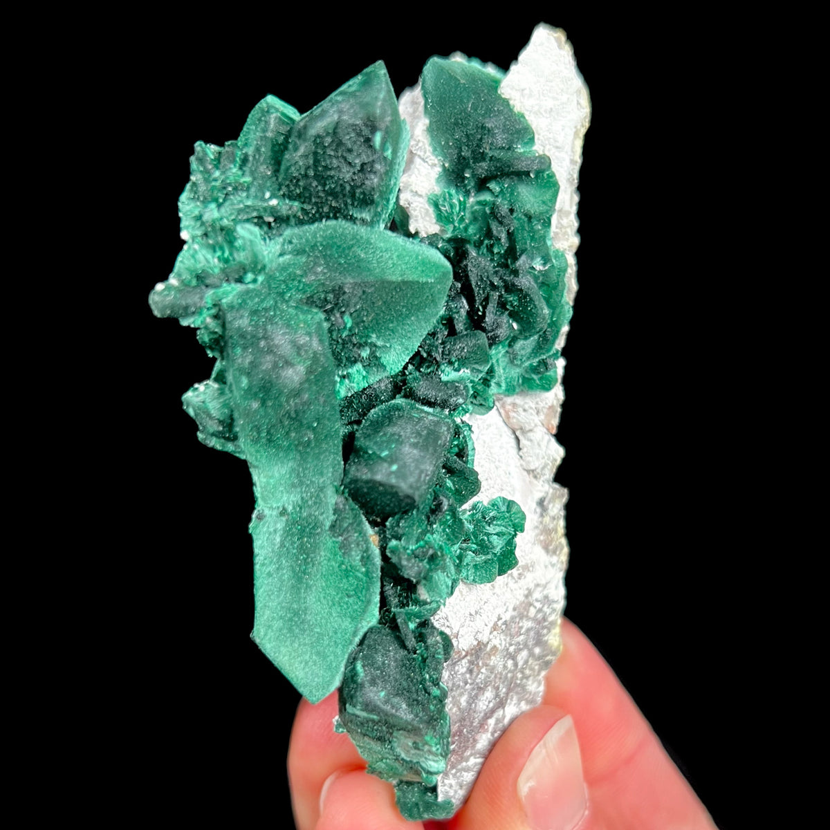 Malachite after Azurite Pseudomorph from Milpillas Mine, Mexico