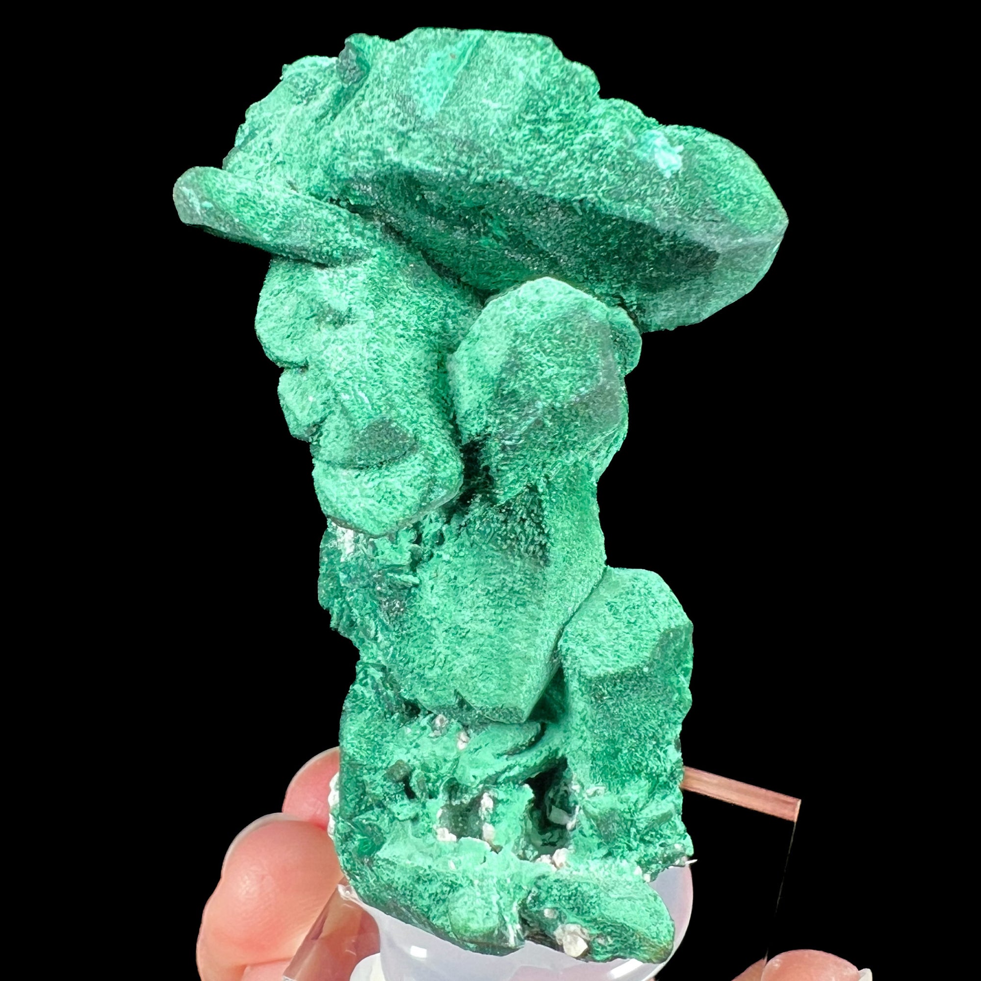 Malachite after Azurite Pseudomorph crystal from Milpillas Mine, Mexico