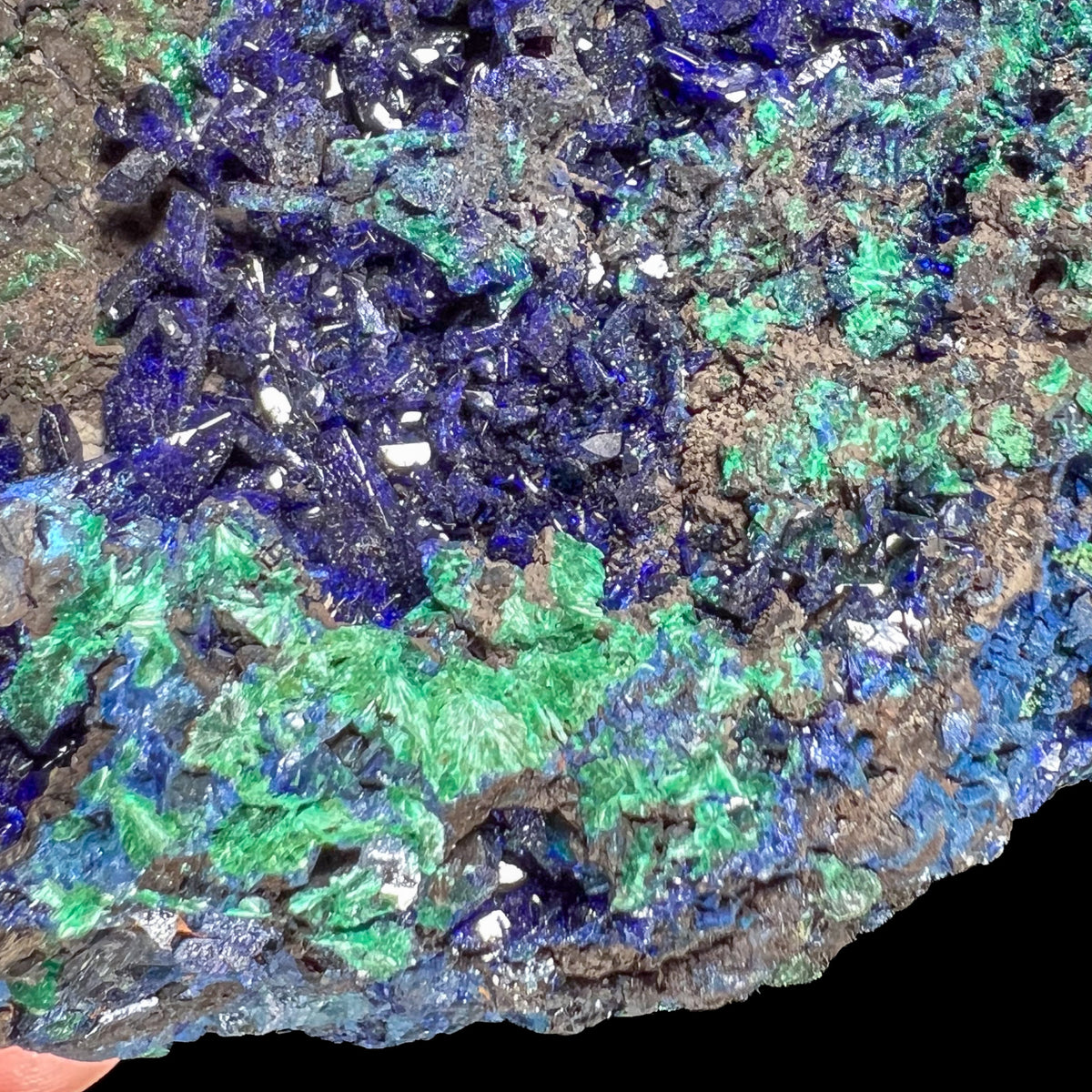 Close Up of Indigo Blue Azurite Crystals with bright green Malachite Crystals