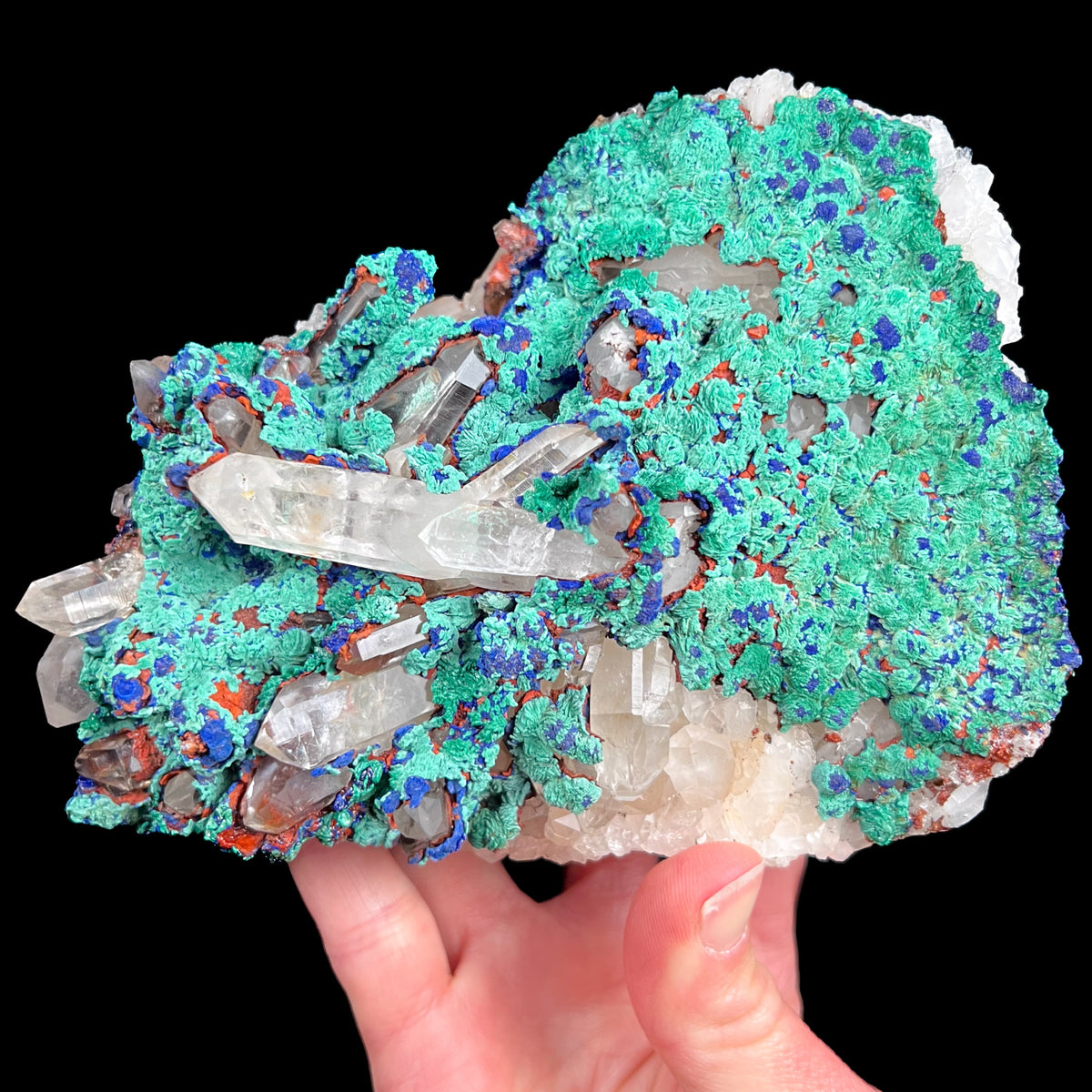 Large Azurite and Malachite Coated Quartz Crystal Specimen