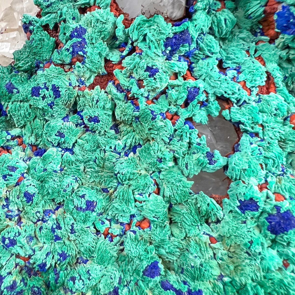 Close Up of Malachite and Azurite Crystal Rosettes