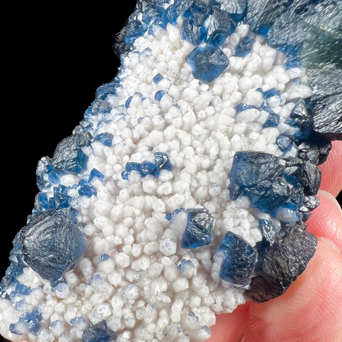 Close Up of Blue Fluorite Crystals on White Quartz Points