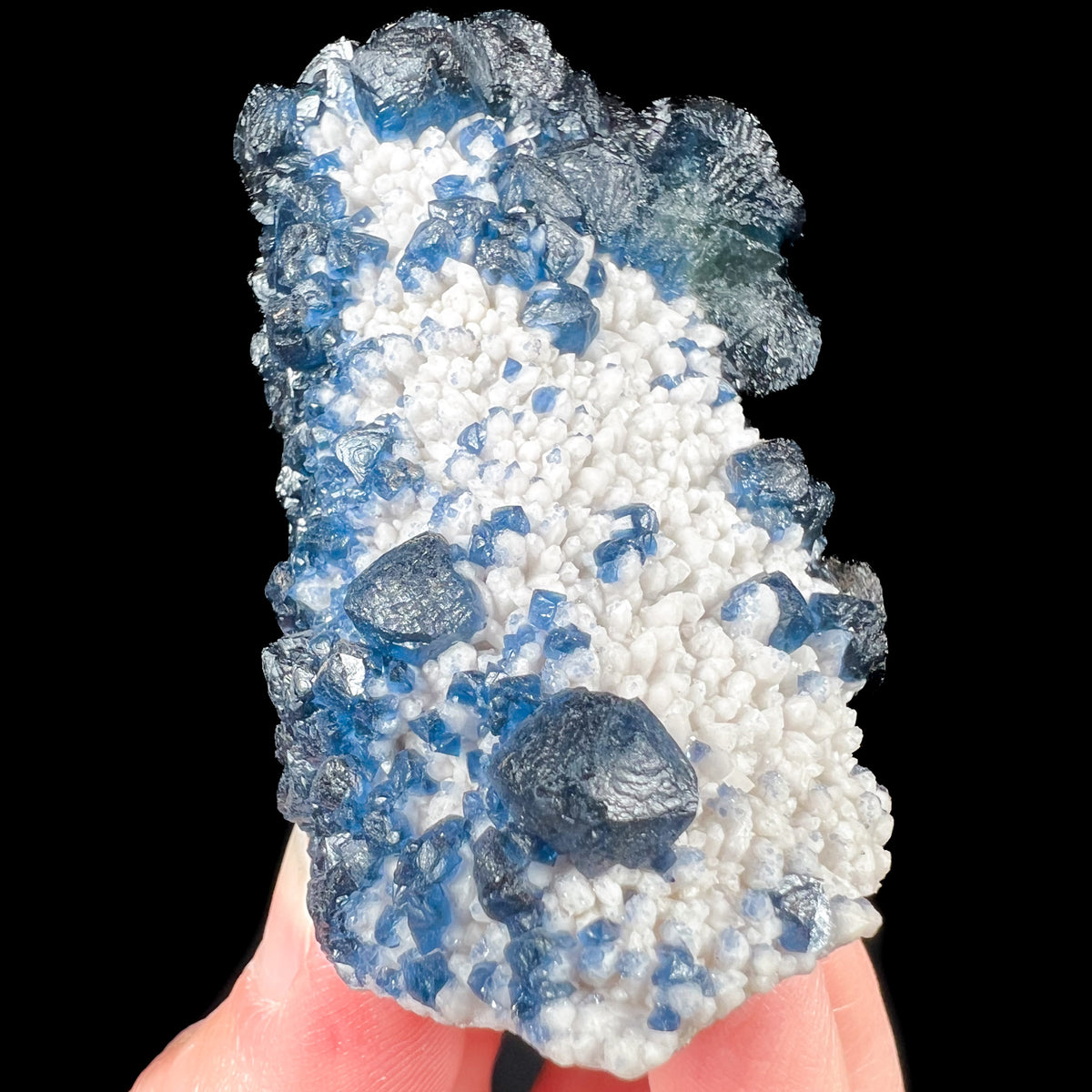 Blue Fluorite Crystals on White Quartz Points