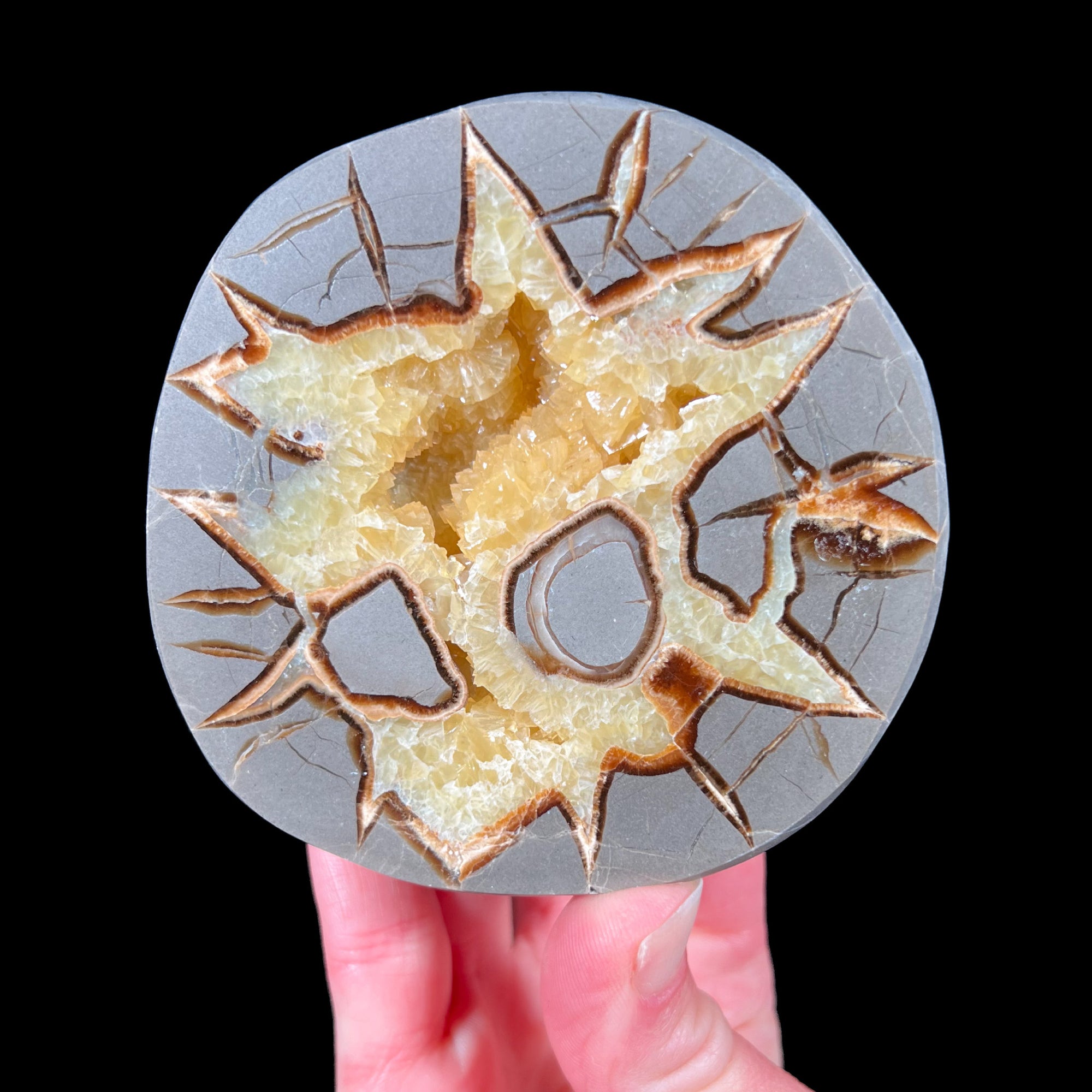 Golden Calcite Septarian Concretion from Utah