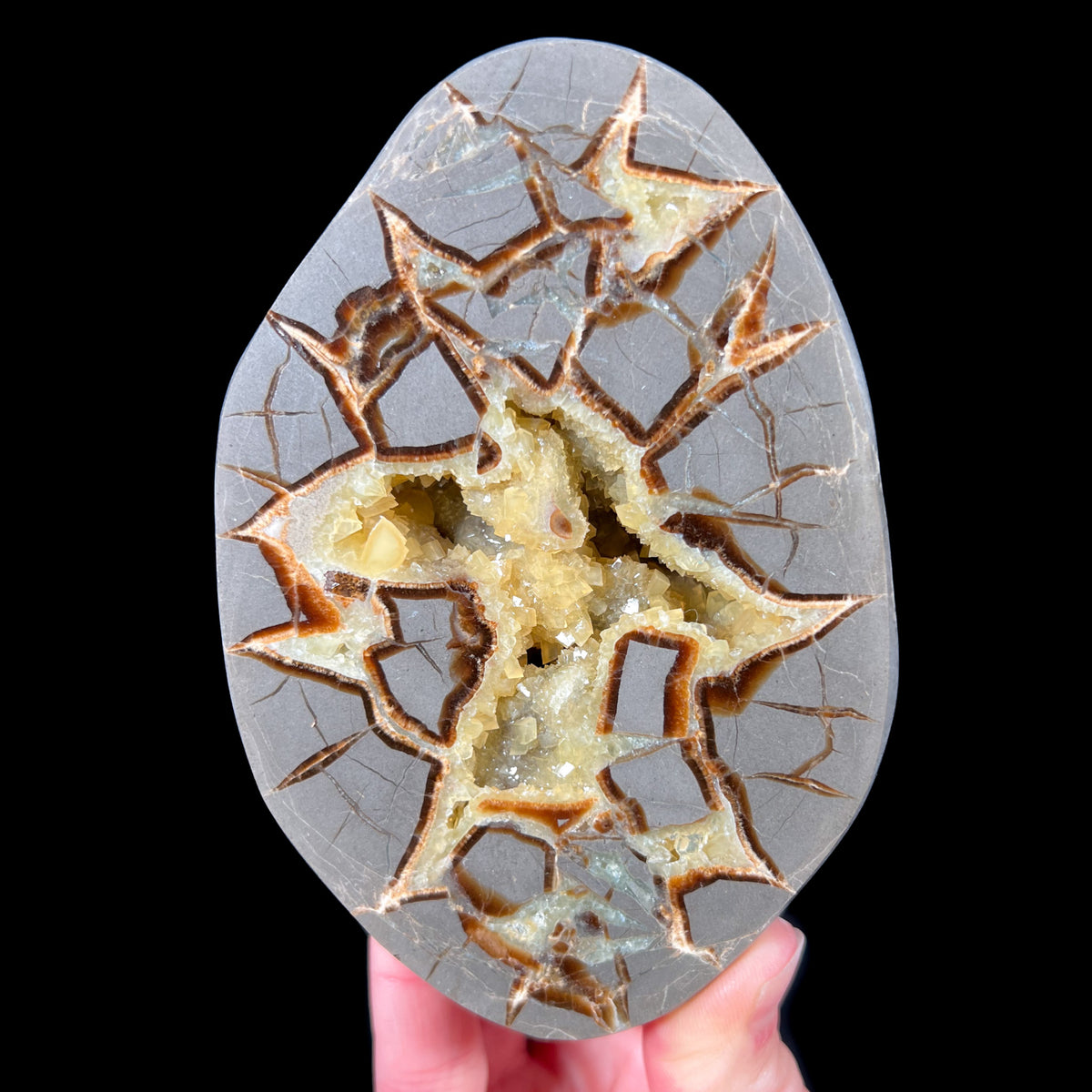 Golden Calcite Septarian Conretion Geode from Utah