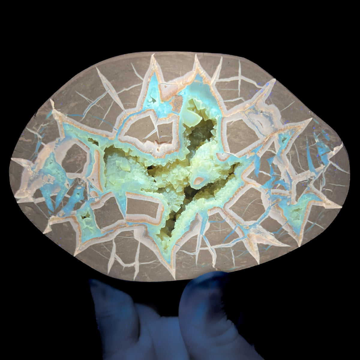 Septarian Concretion Displaying Fluorescences Under UV Light