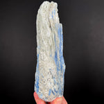 Large Kyanite with Muscovite Mica Specimen