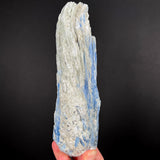 Large Kyanite with Muscovite Mica Specimen