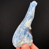 Blue Kyanite with Staurolite