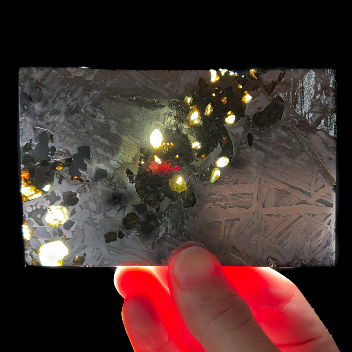 Backlit Pallasite Meteorite Slice from Seymchan Russia
