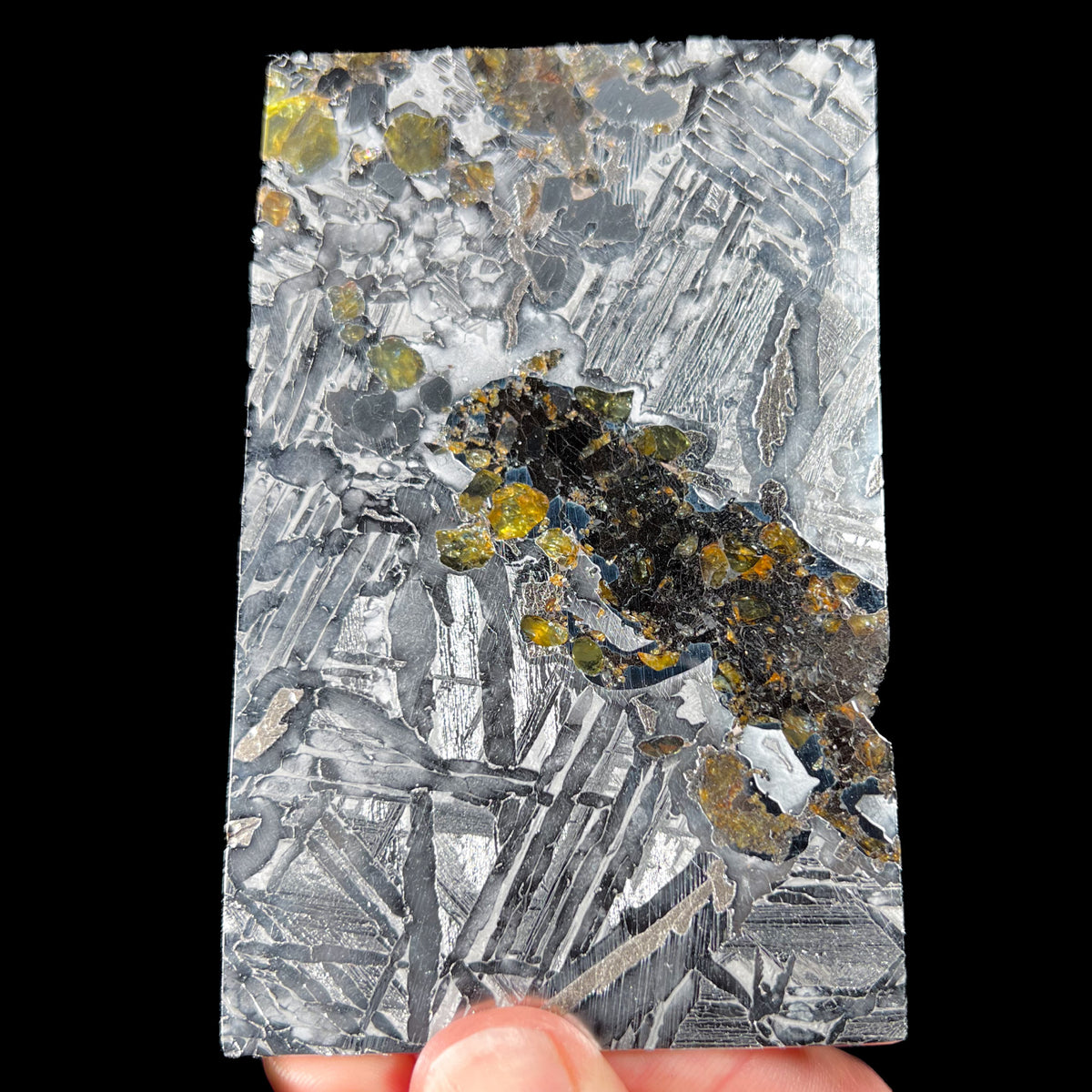 Large slice of Seymchan Pallasite Meteorite