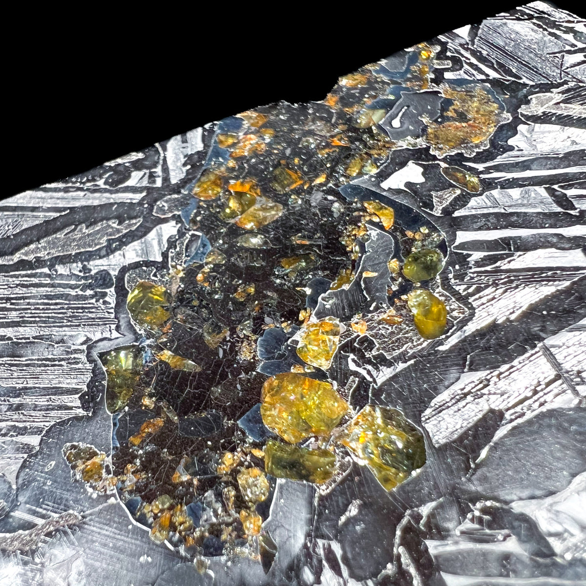 Gem Quality Olivine Crystals in Pallasite Meteorite Slice
