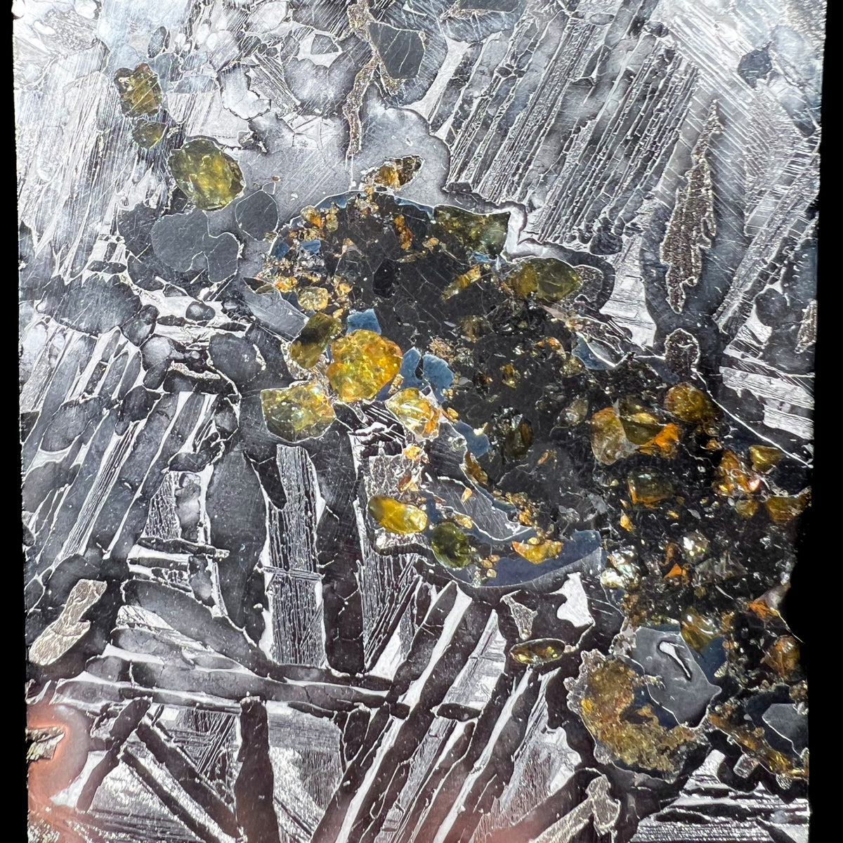 Olivine or Gem Peridot Crystals inside Pallasite Meteorite Slice