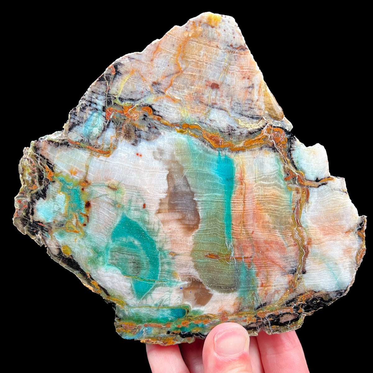 Copper mineralization in Petrified Wood from Turkey