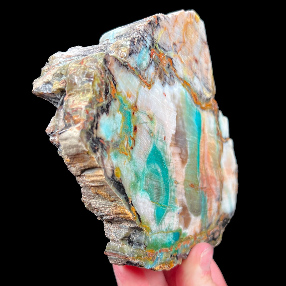 Copper included Petrified Wood from Turkey