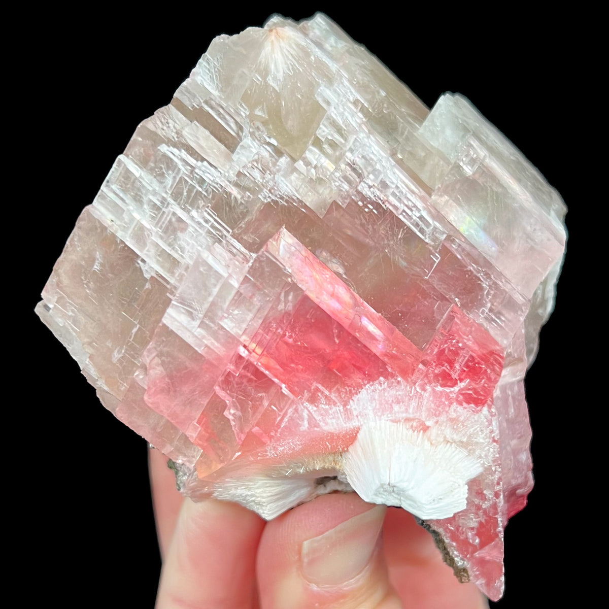 Pink and Red Raspberry Calcite Crystal with Mesolite Crystal Inclusions from India