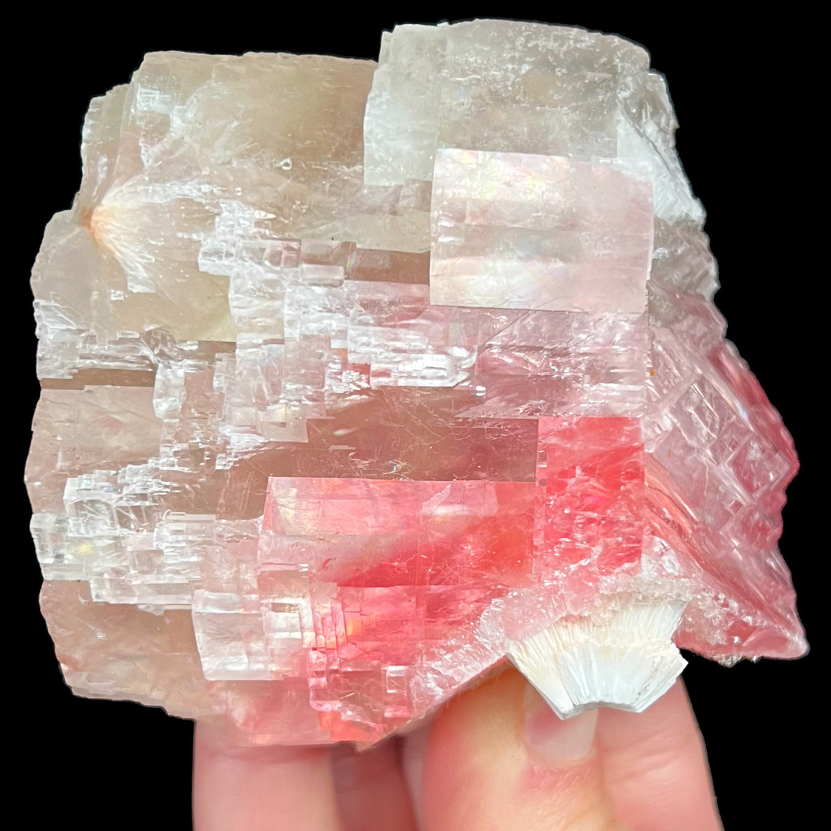 Moldy Raspberry Pocket Calcite with Mesolite Crystals from India