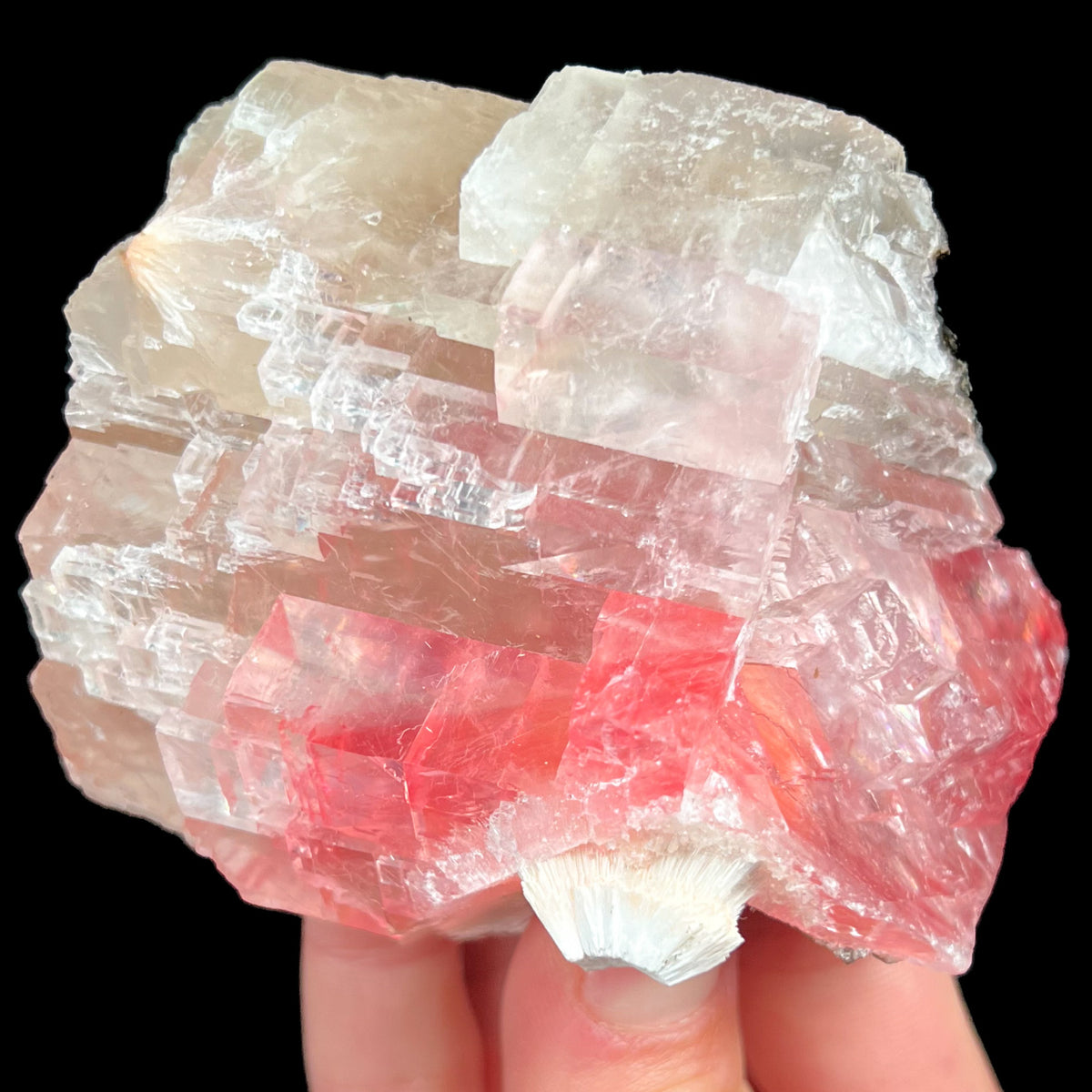 Calcite Crystal with Mesolite from India