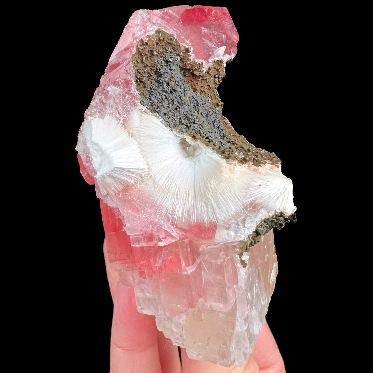 White Mesolite Crystals In Red and Pink Calcite from India