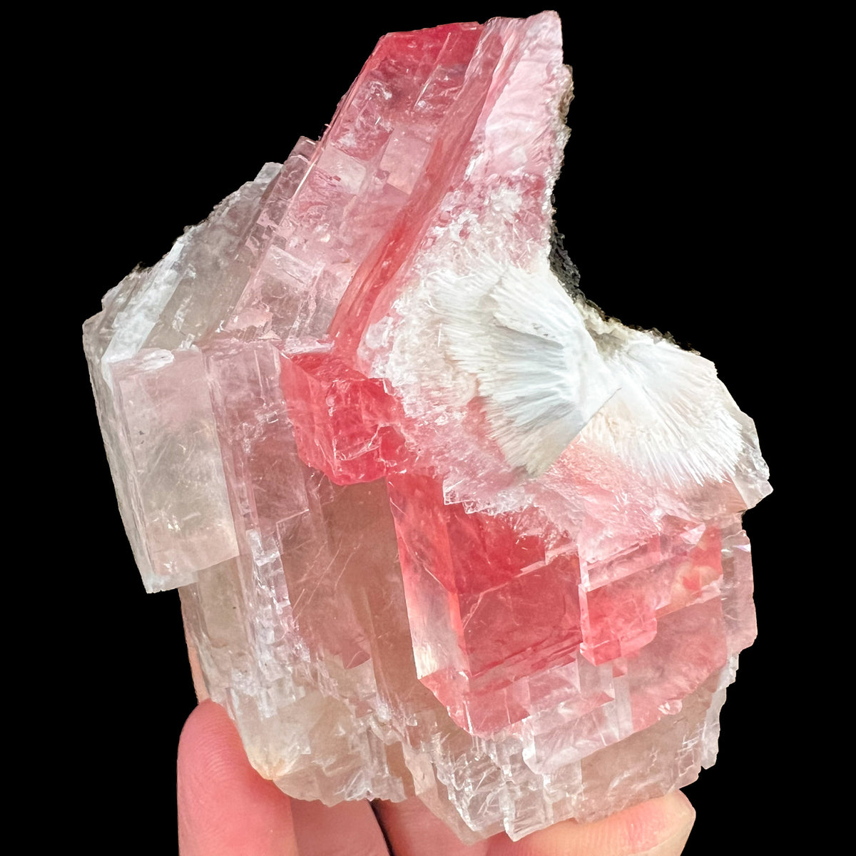 Moldy Raspberry Pocket Crystals of Calcite and Mesolite from India