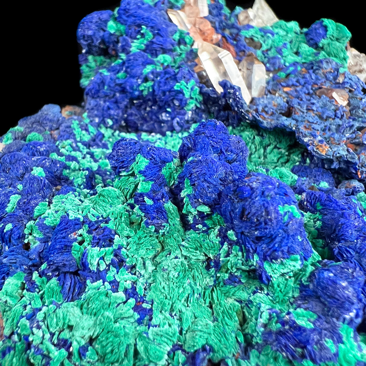 Blue Azurite and Green Malachite Crystal Rosettes