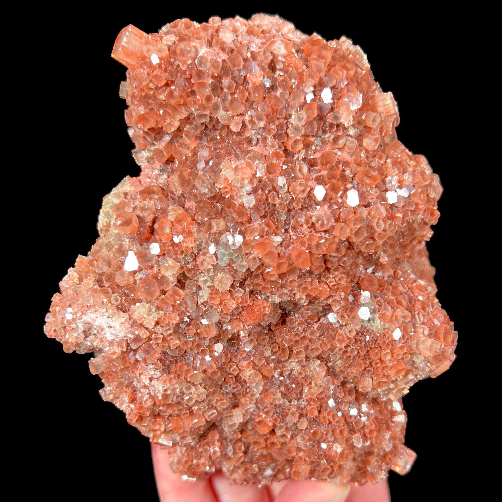 Large Star Aragonite Specimen