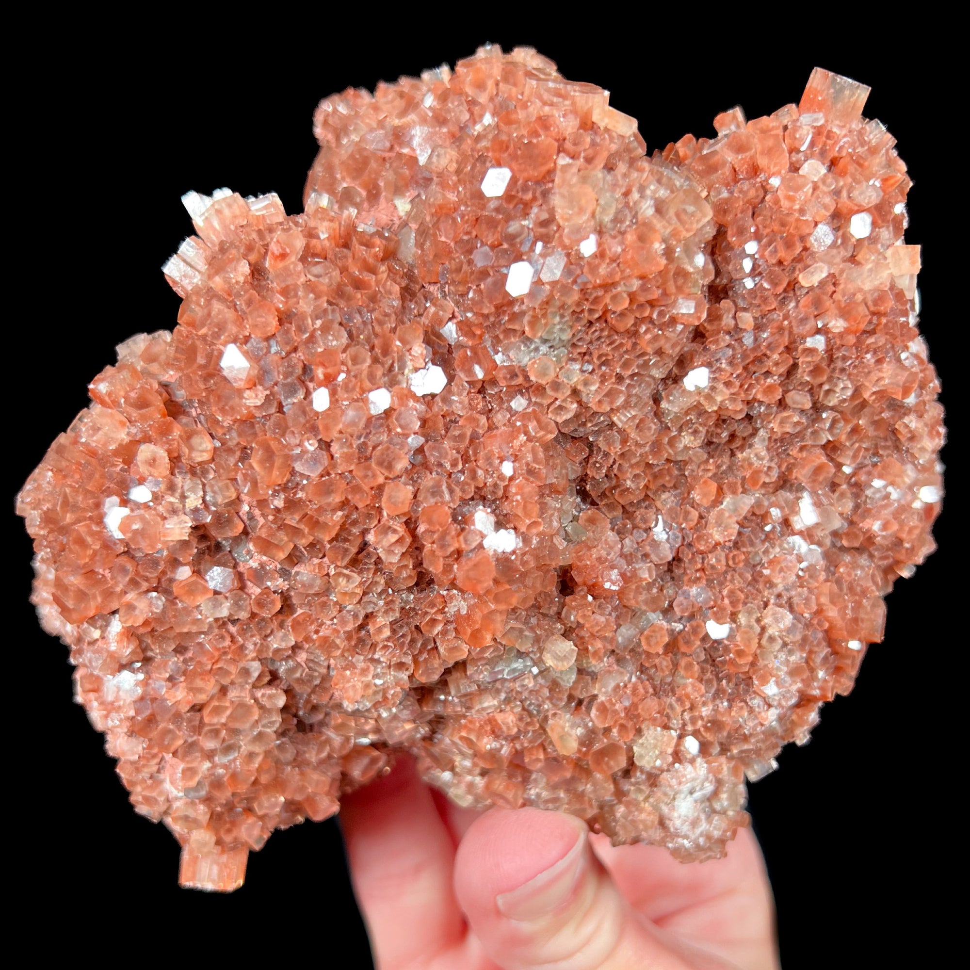 Large Star Aragonite Specimen