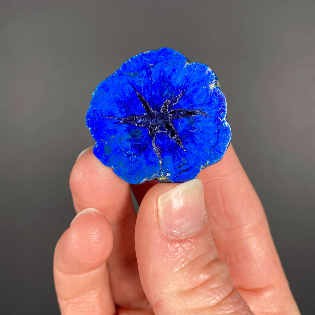 Azurite Crystal Flowers - Geology In